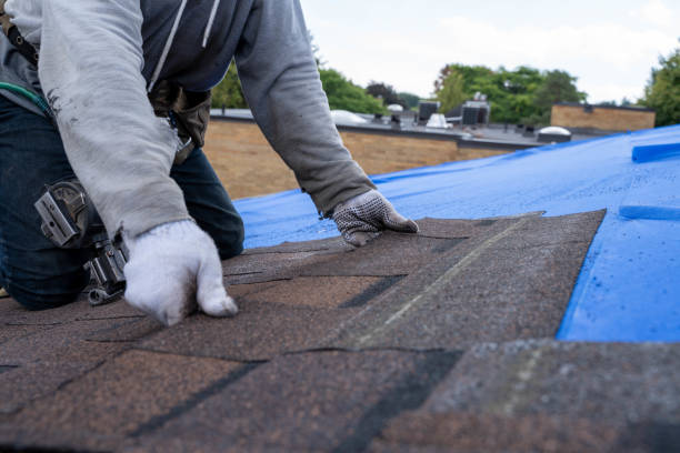 Best Sealant for Roof  in Larned, KS